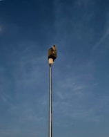 A tall metal pole extends into the sky, topped with a security camera. The background features a clear blue sky with subtle cloud formations.