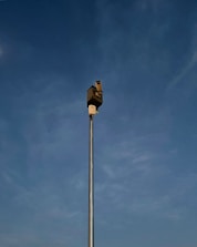 A tall metal pole extends into the sky, topped with a security camera. The background features a clear blue sky with subtle cloud formations.