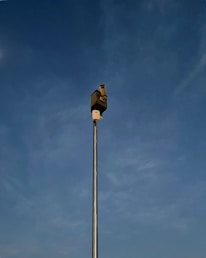 A tall metal pole extends into the sky, topped with a security camera. The background features a clear blue sky with subtle cloud formations.