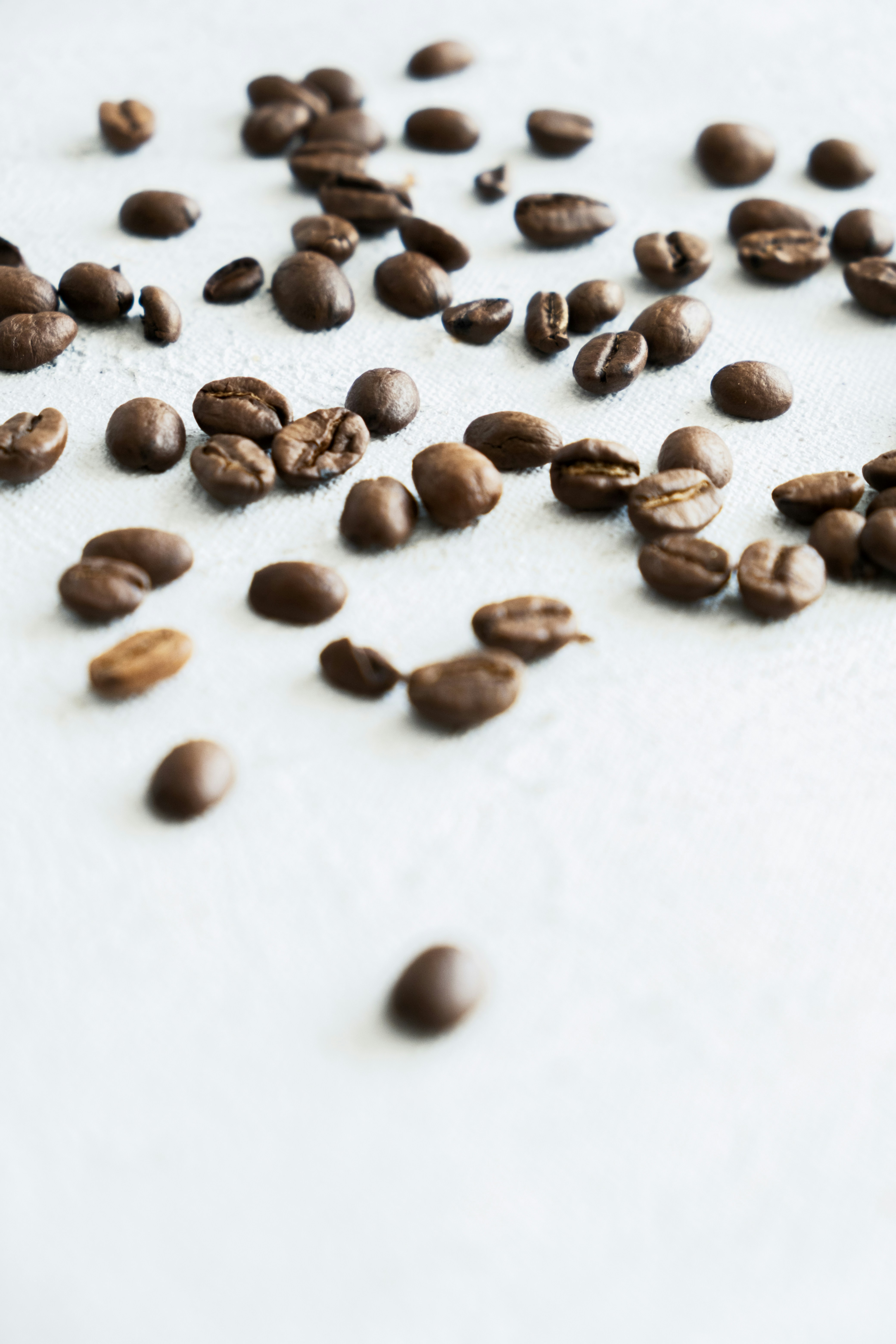 Photo by mukreminkosefood