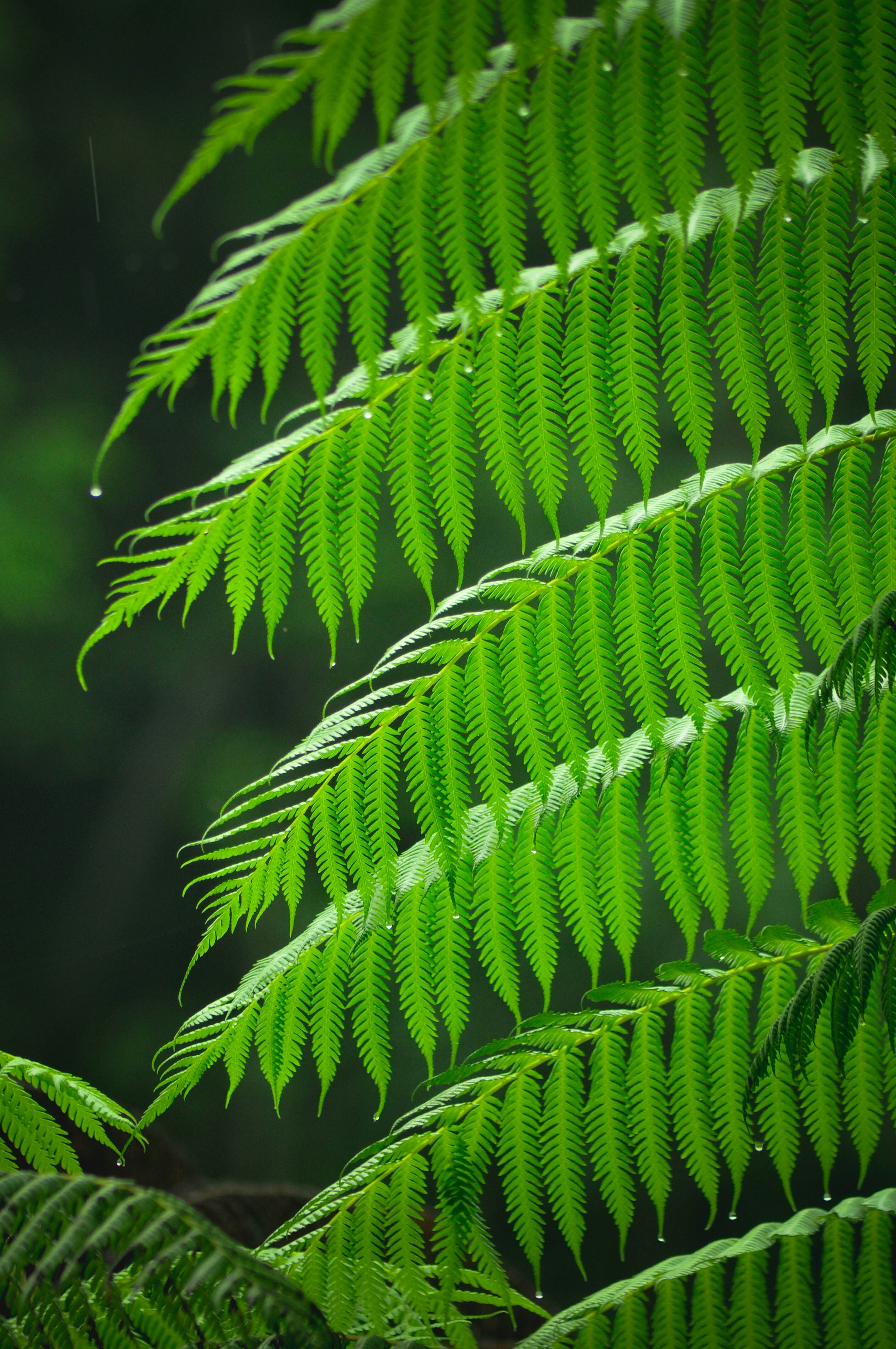 Photo by hasbiashphotography