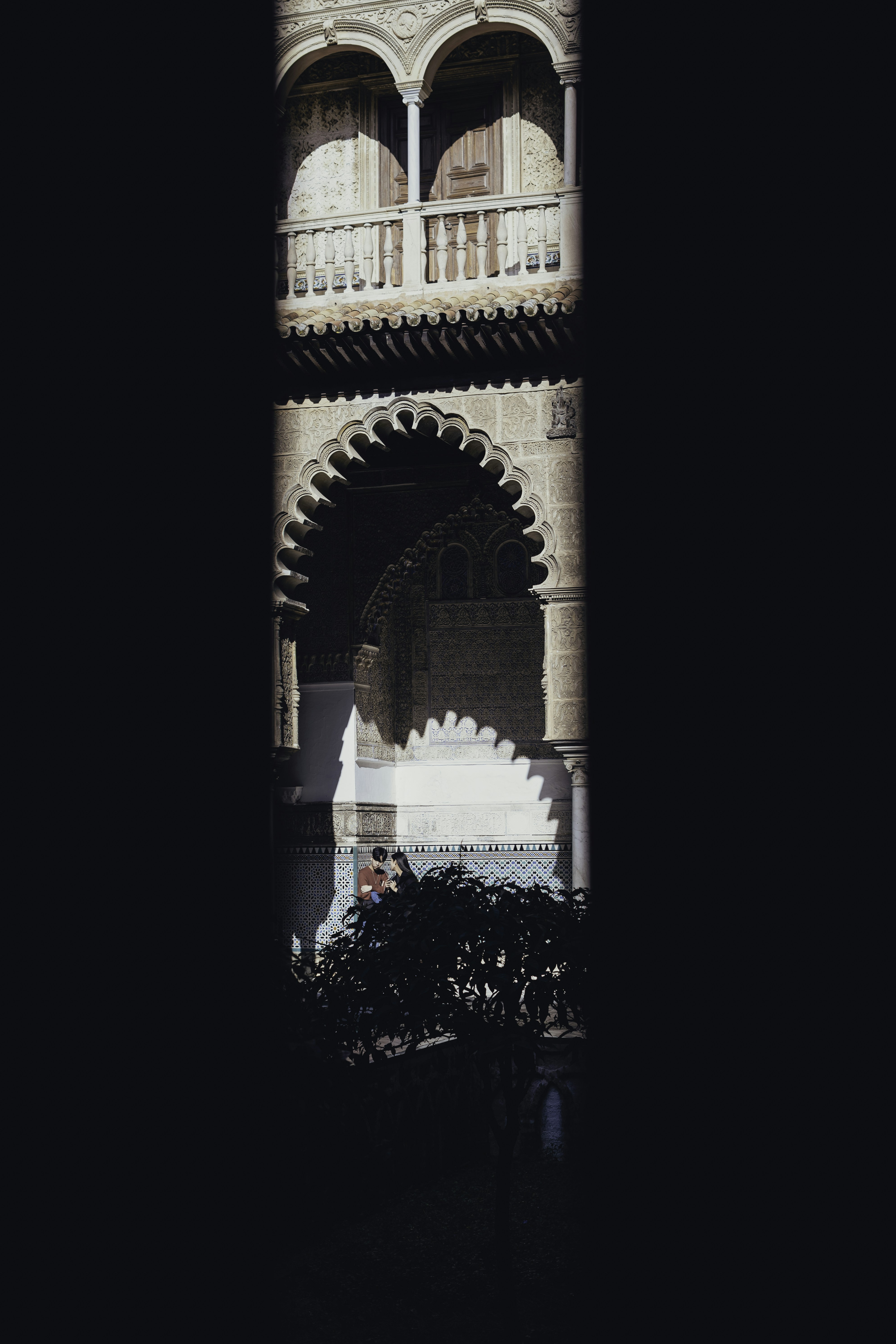 Photo by venusmajor