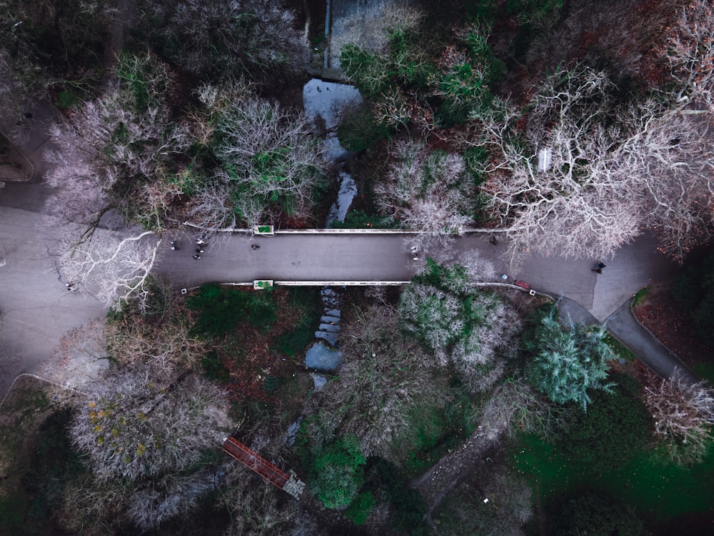 an aerial view of a road surrounded by trees