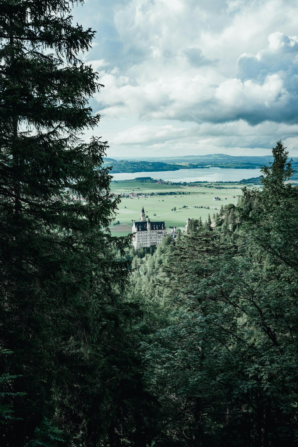 a house in the middle of a field surrounded by trees