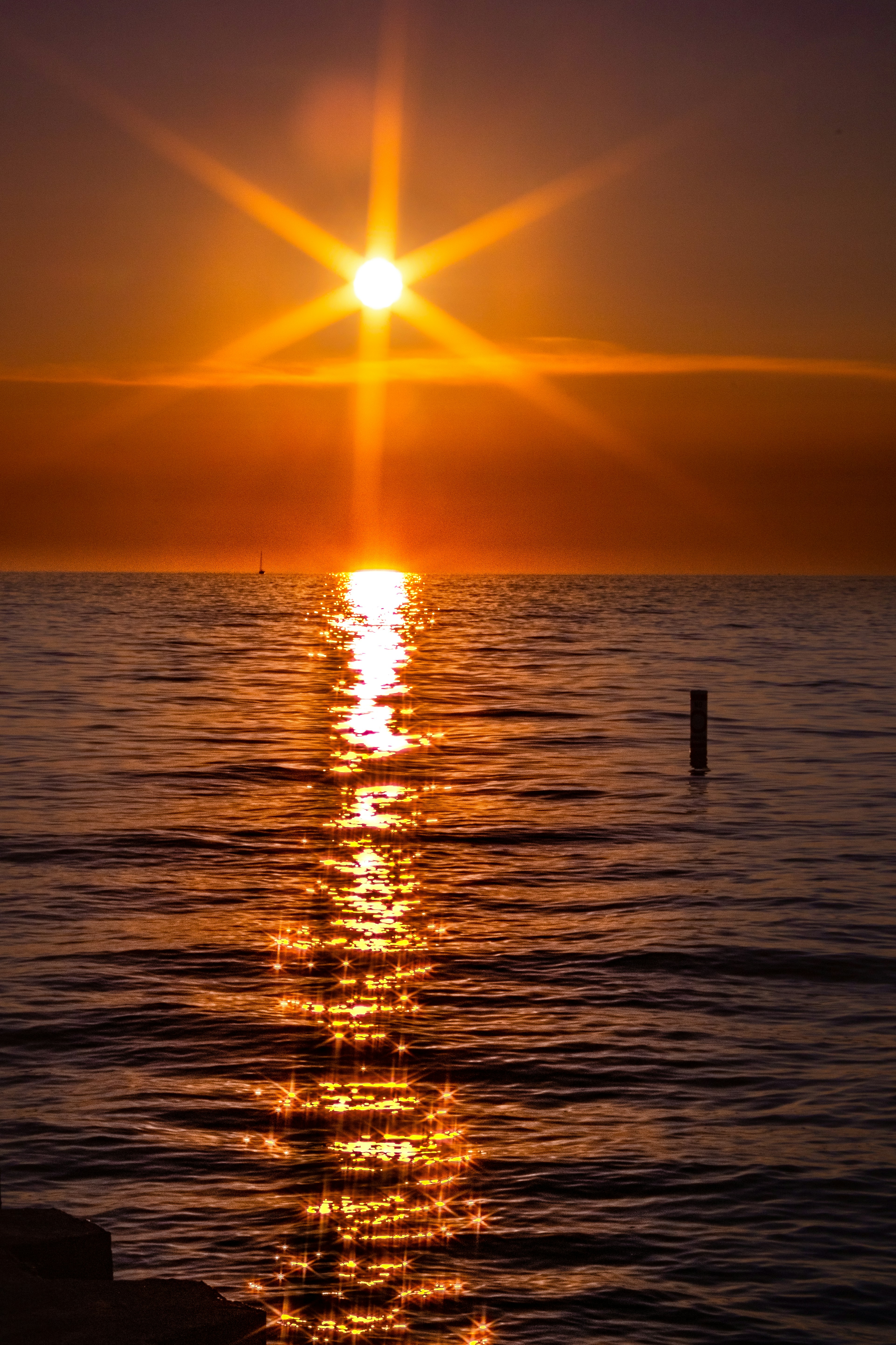 Photo by tristen_anderson