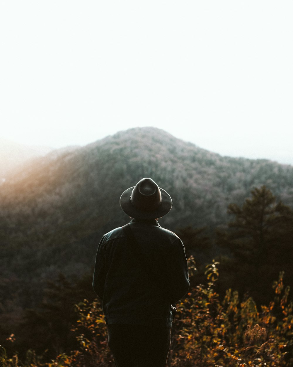 um homem de pé no topo de uma encosta verde exuberante