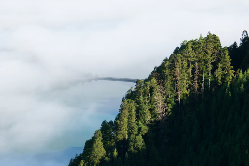 Brug bij Sete Cidades in de mist