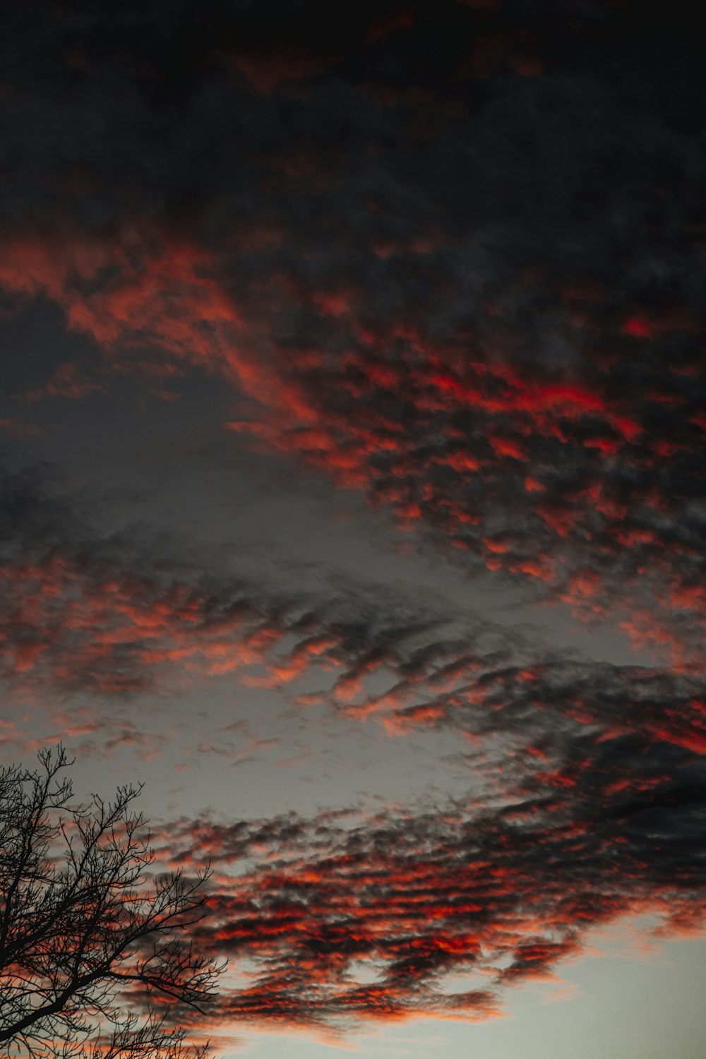 ein roter Himmel mit Wolken und einem Baum im Vordergrund