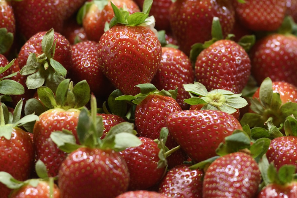 a close up of a bunch of strawberries