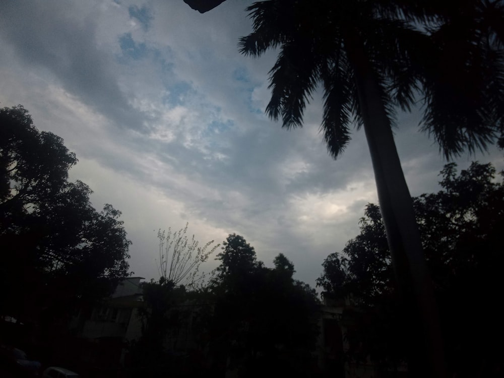 a palm tree is silhouetted against a cloudy sky