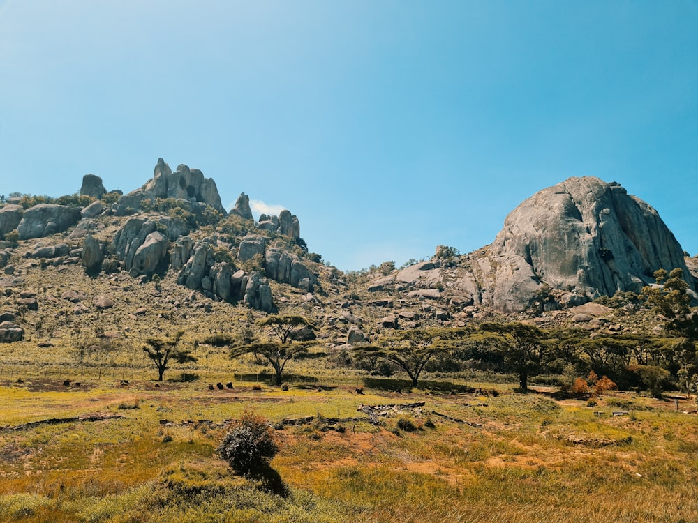 a grassy field with a mountain in the background