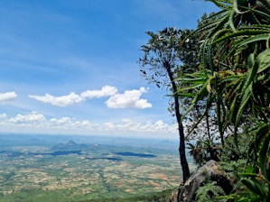a view of a valley from a high point of view