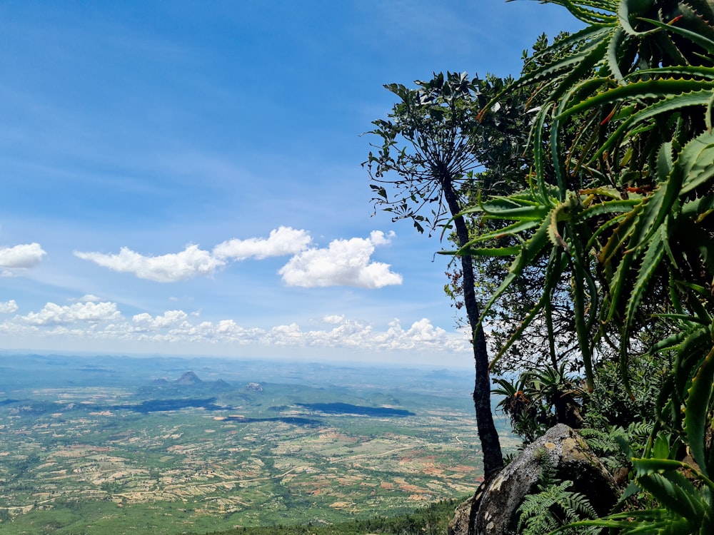 a view of a valley from a high point of view