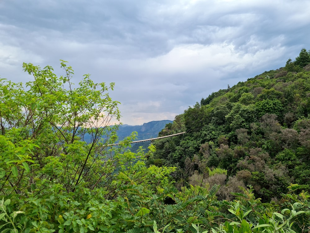 a view of a mountain with a rope in the foreground