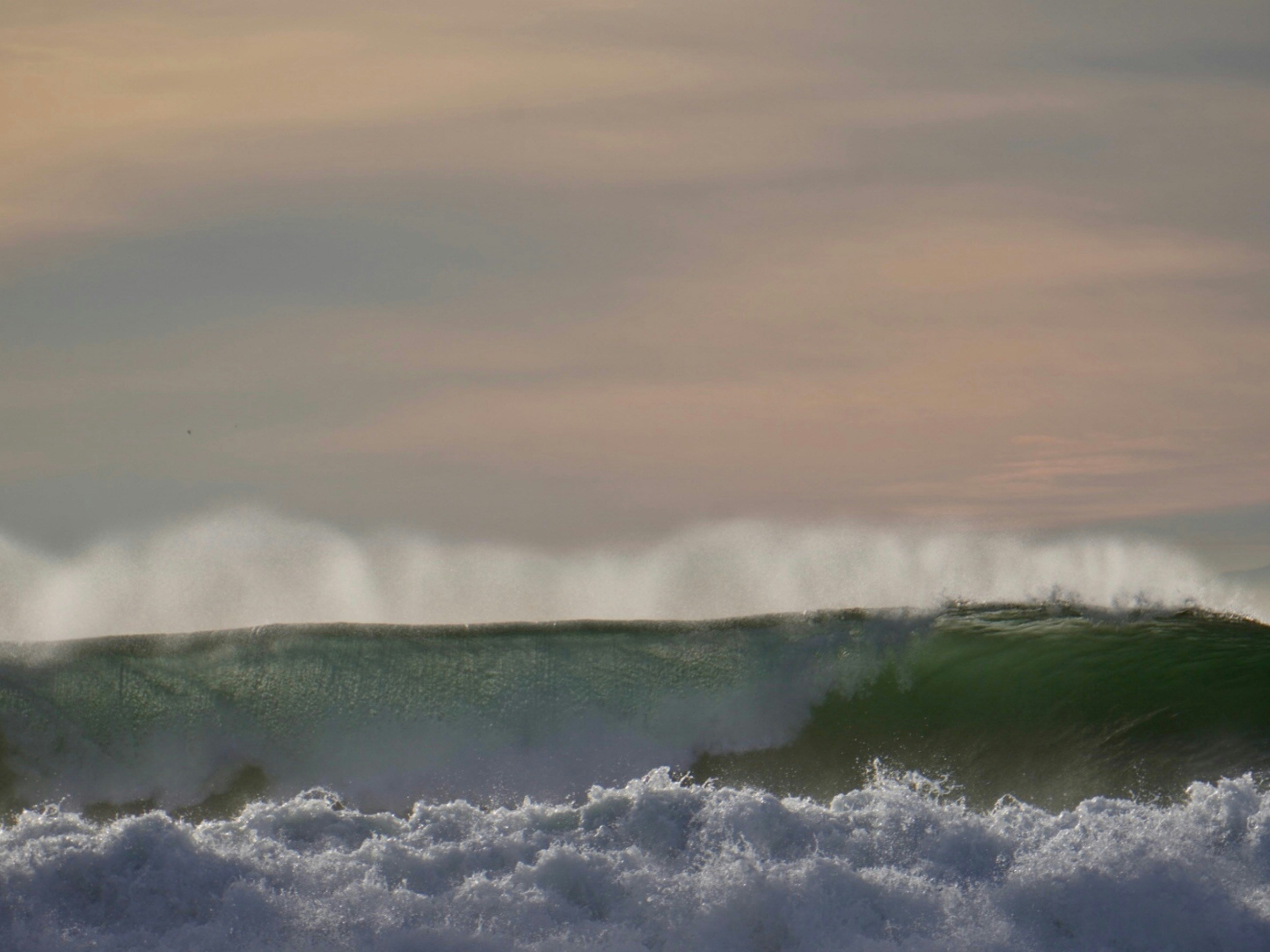 Photo by cdsaunders04