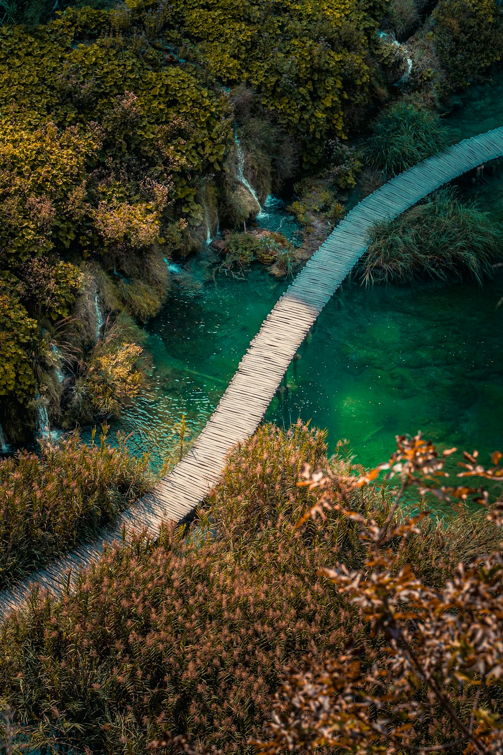 a wooden walkway over a body of water