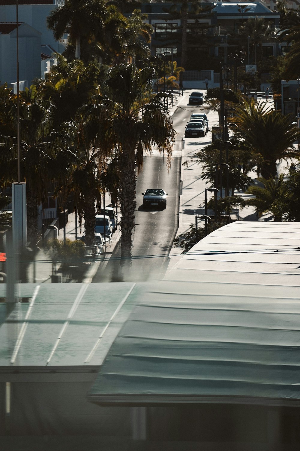 a view of a city street with palm trees