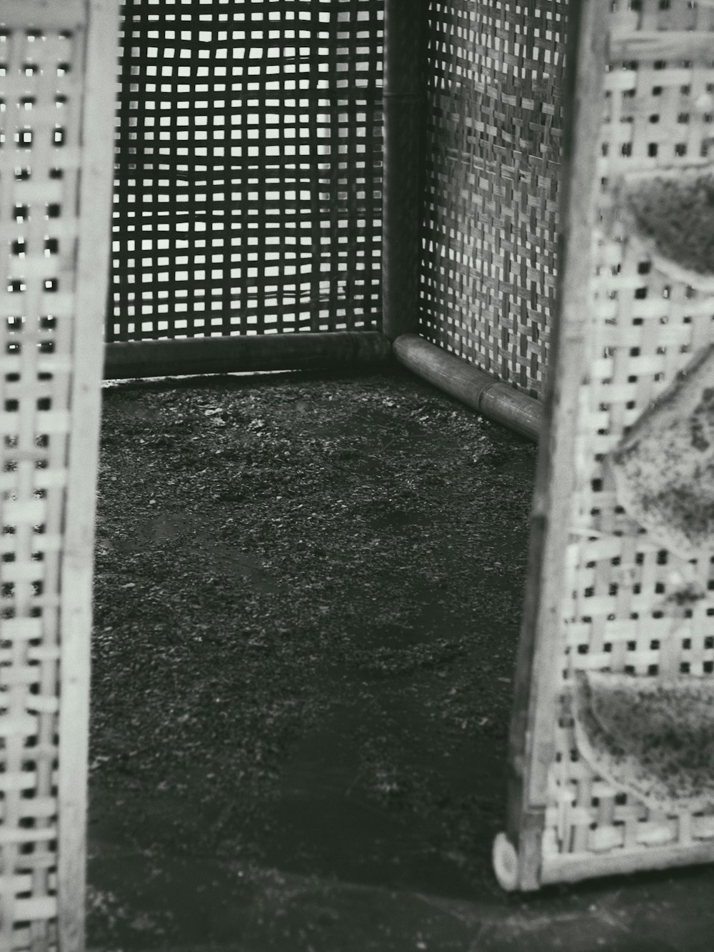 a black and white photo of a corner of a room