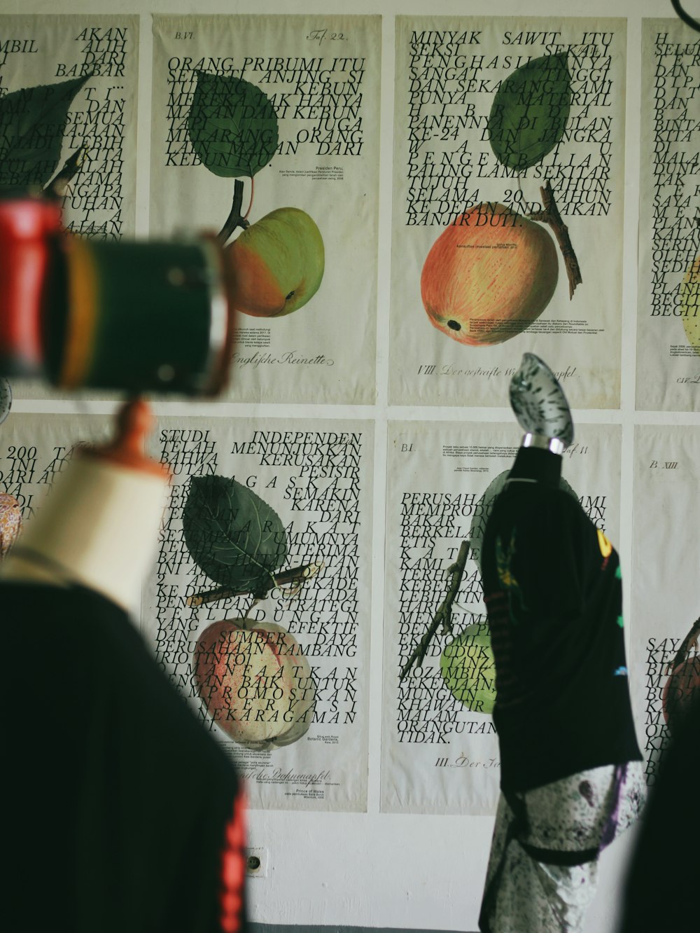 a person standing in front of a wall with fruit on it