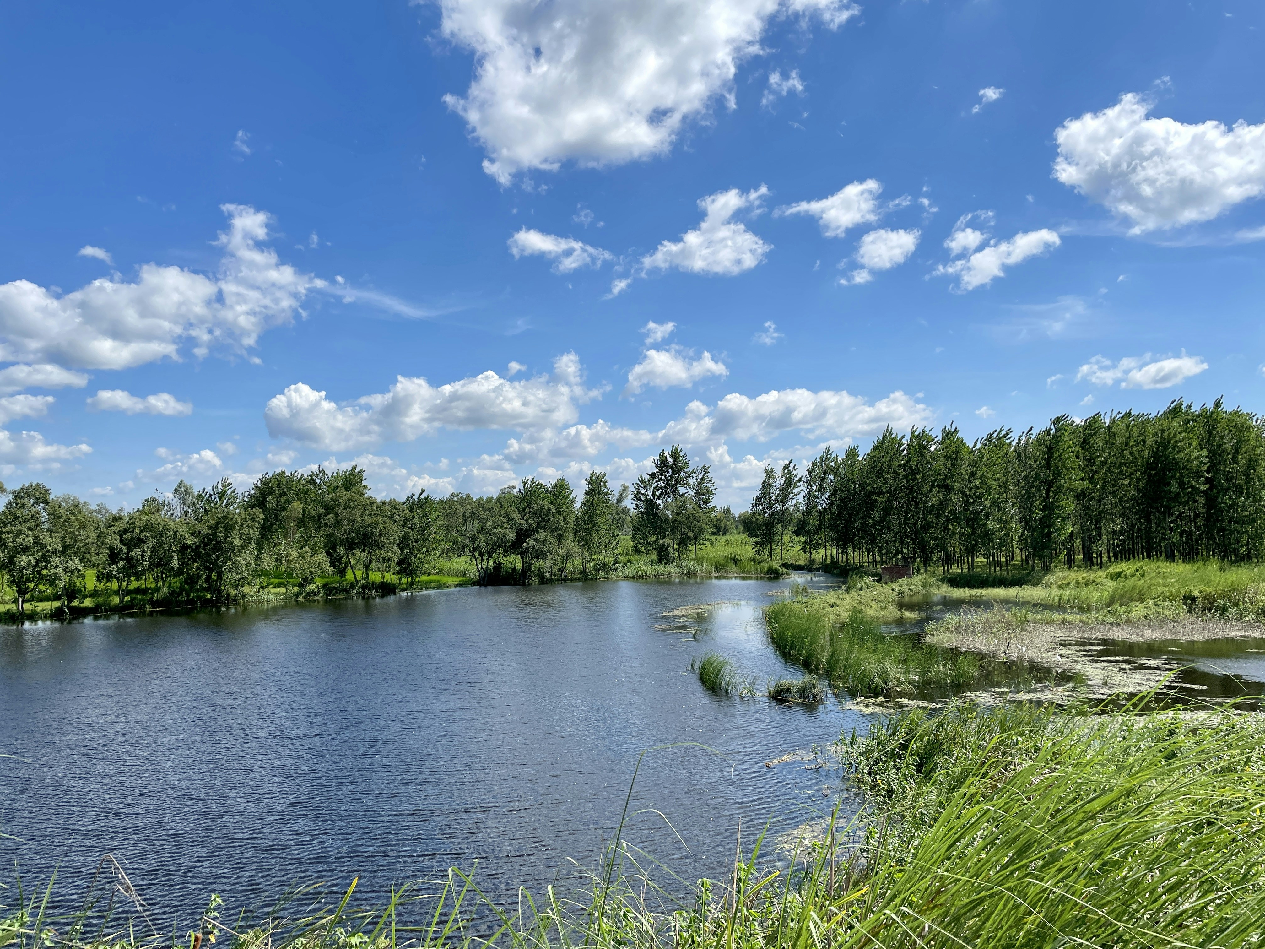 Photo by whitedevil800