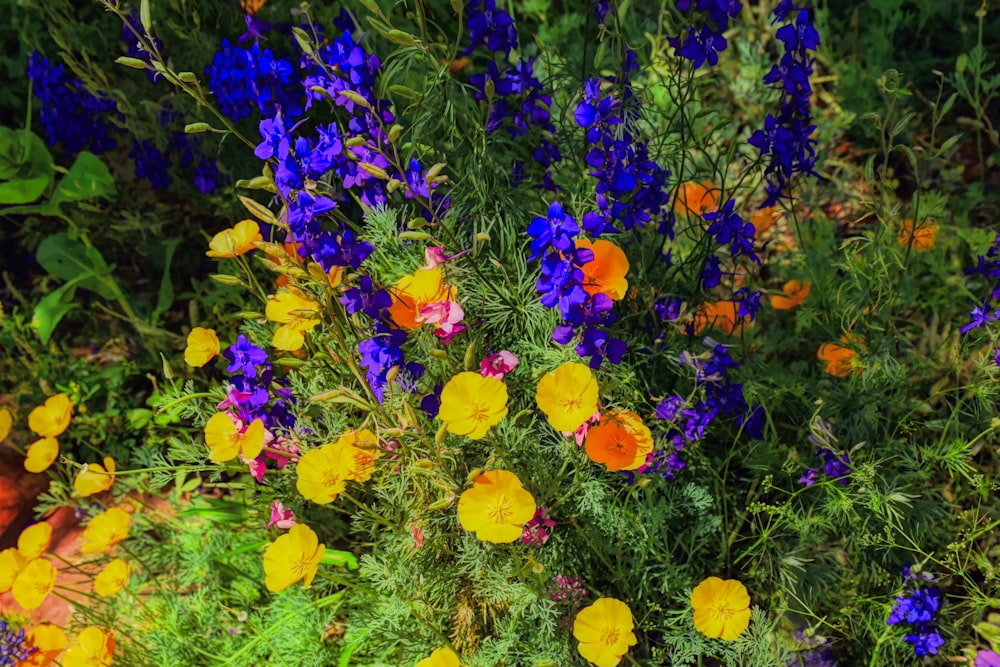 ein Strauß Blumen, die im Gras sind