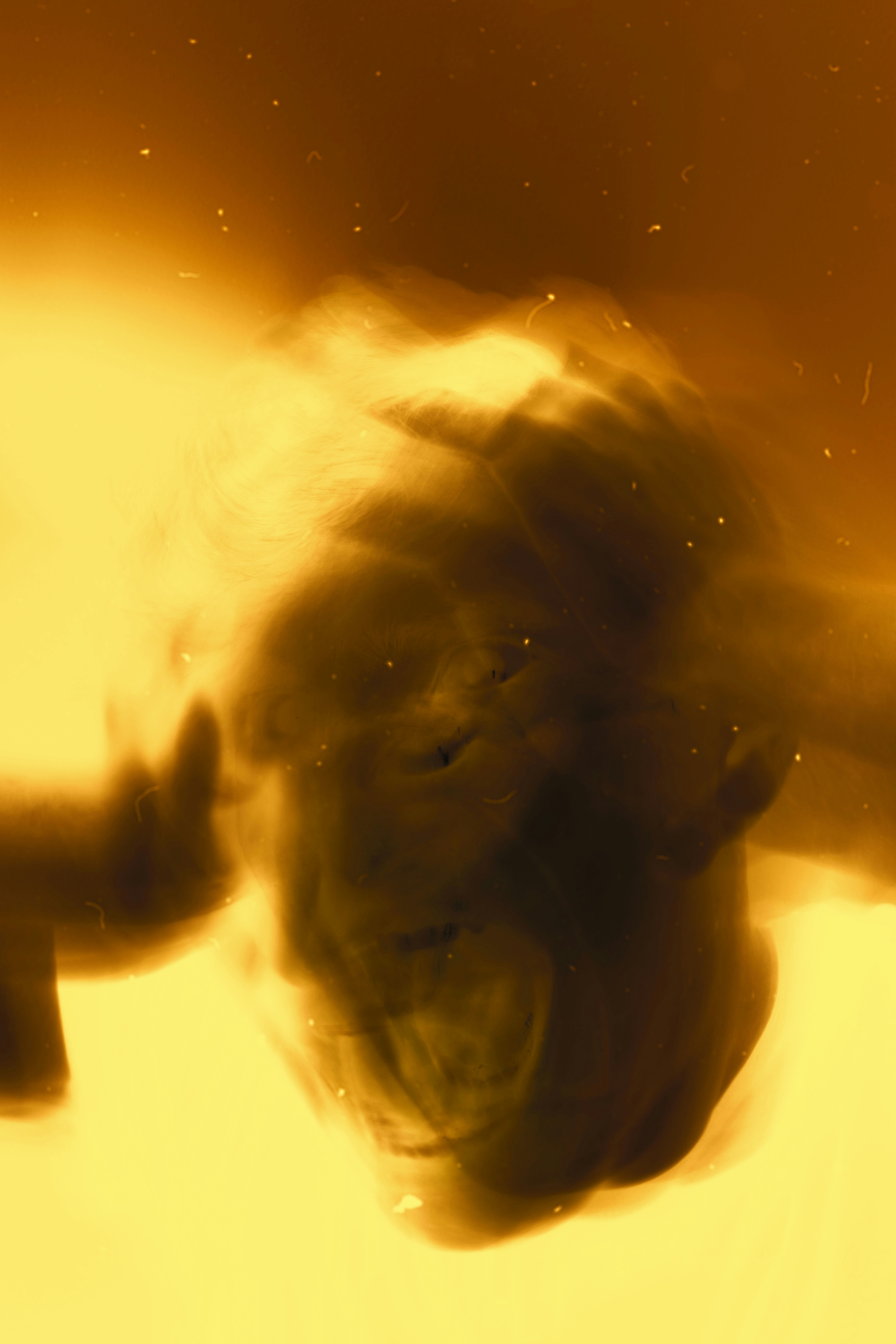 Photo by mihaiteslariu0