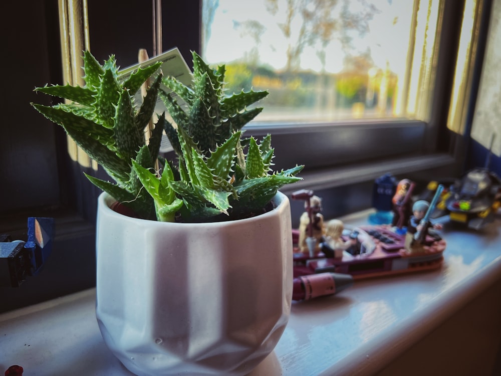 a potted plant sitting on top of a window sill