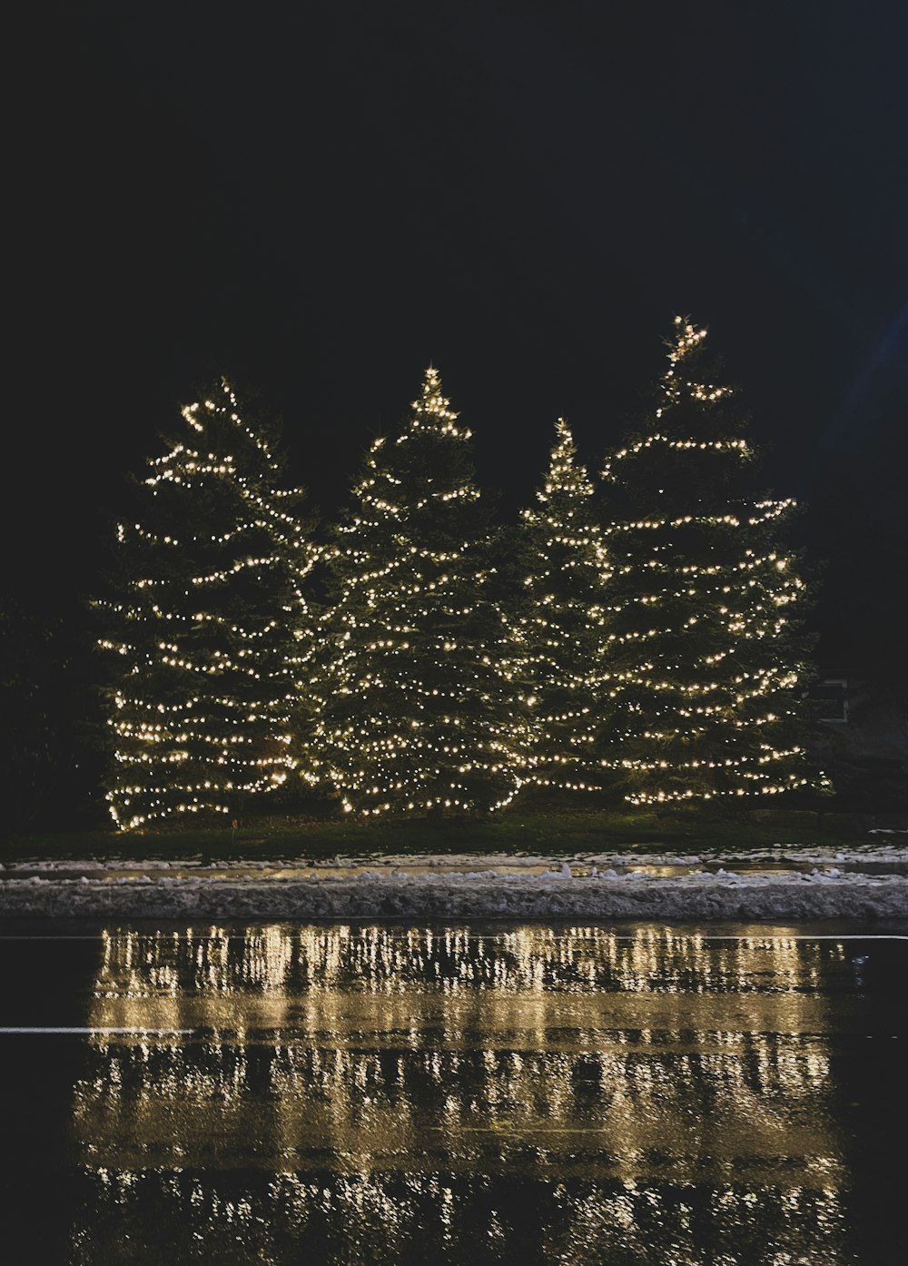 a group of trees that are next to a body of water