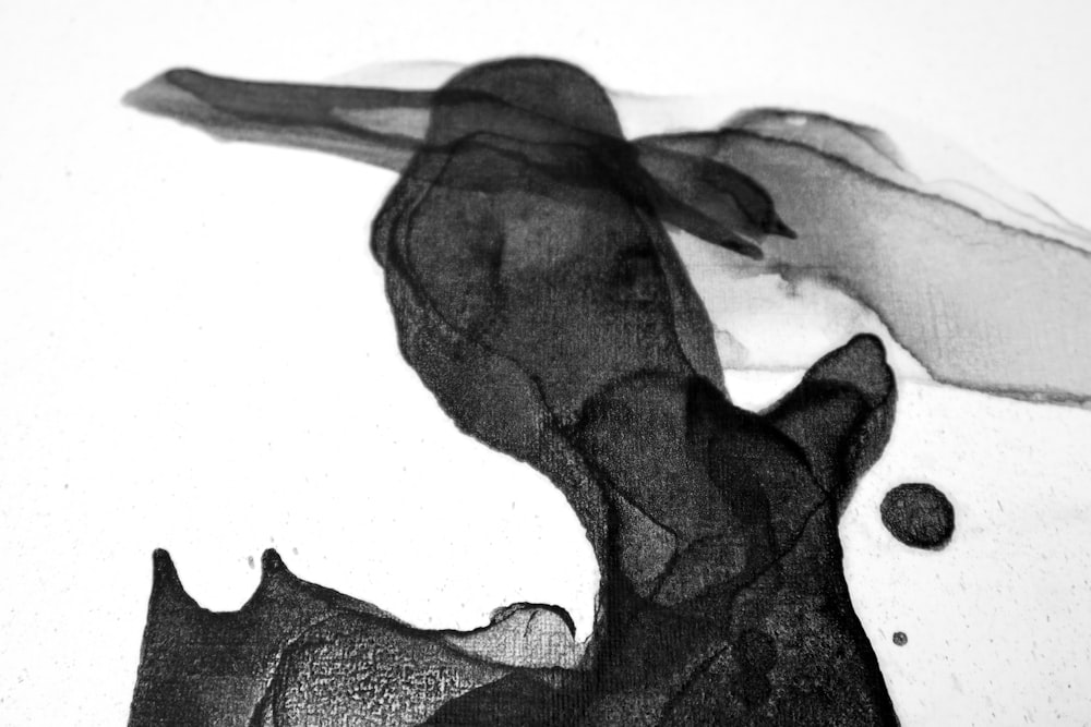 une photo en noir et blanc de la main d’une personne tenant une chauve-souris