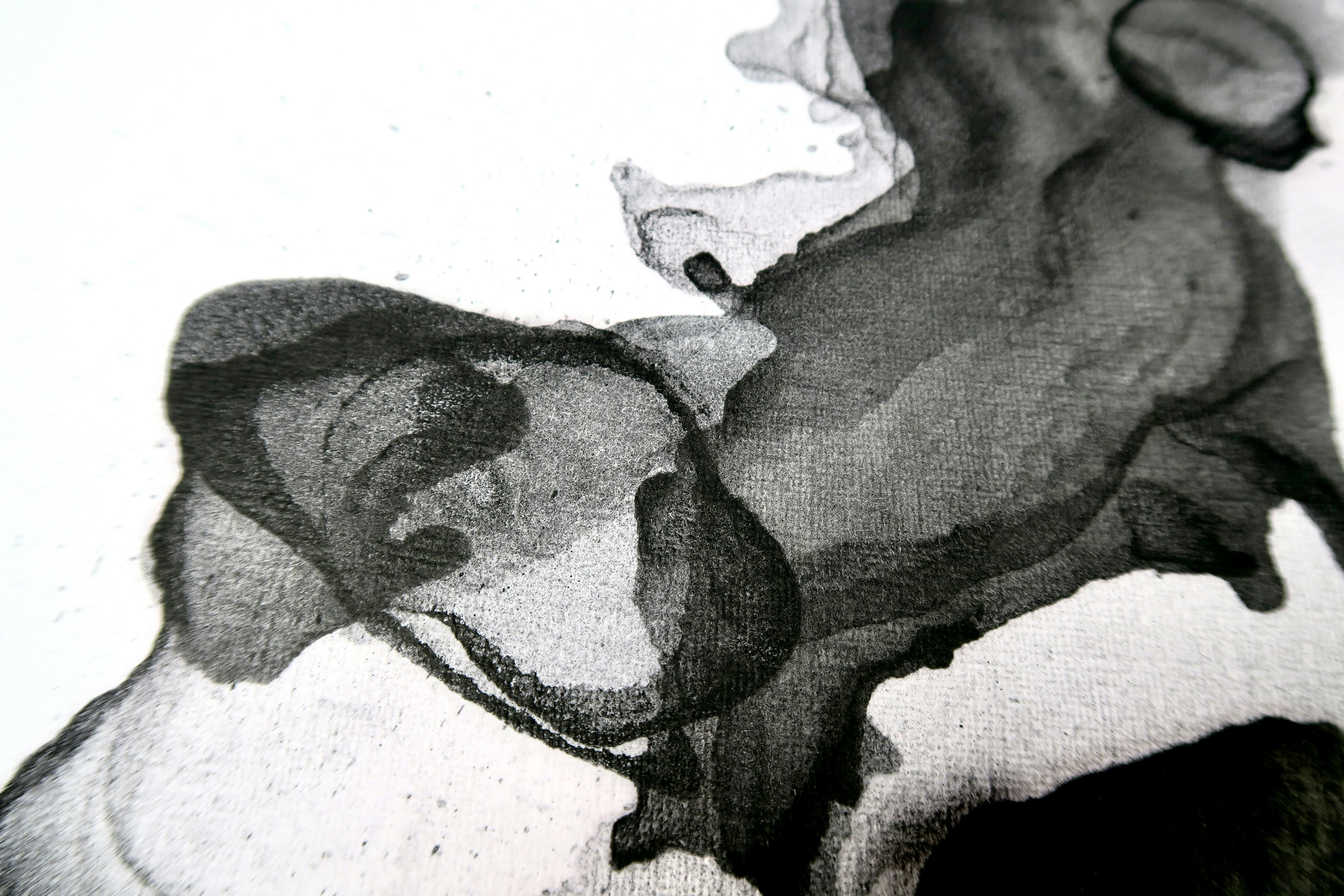 X-ray image of a horse's hoof