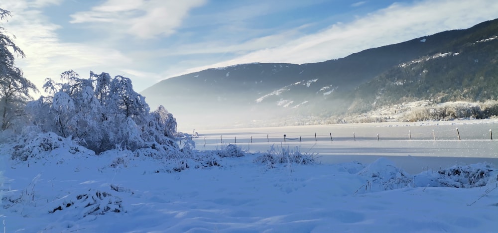 a snow covered field with trees and mountains in the background