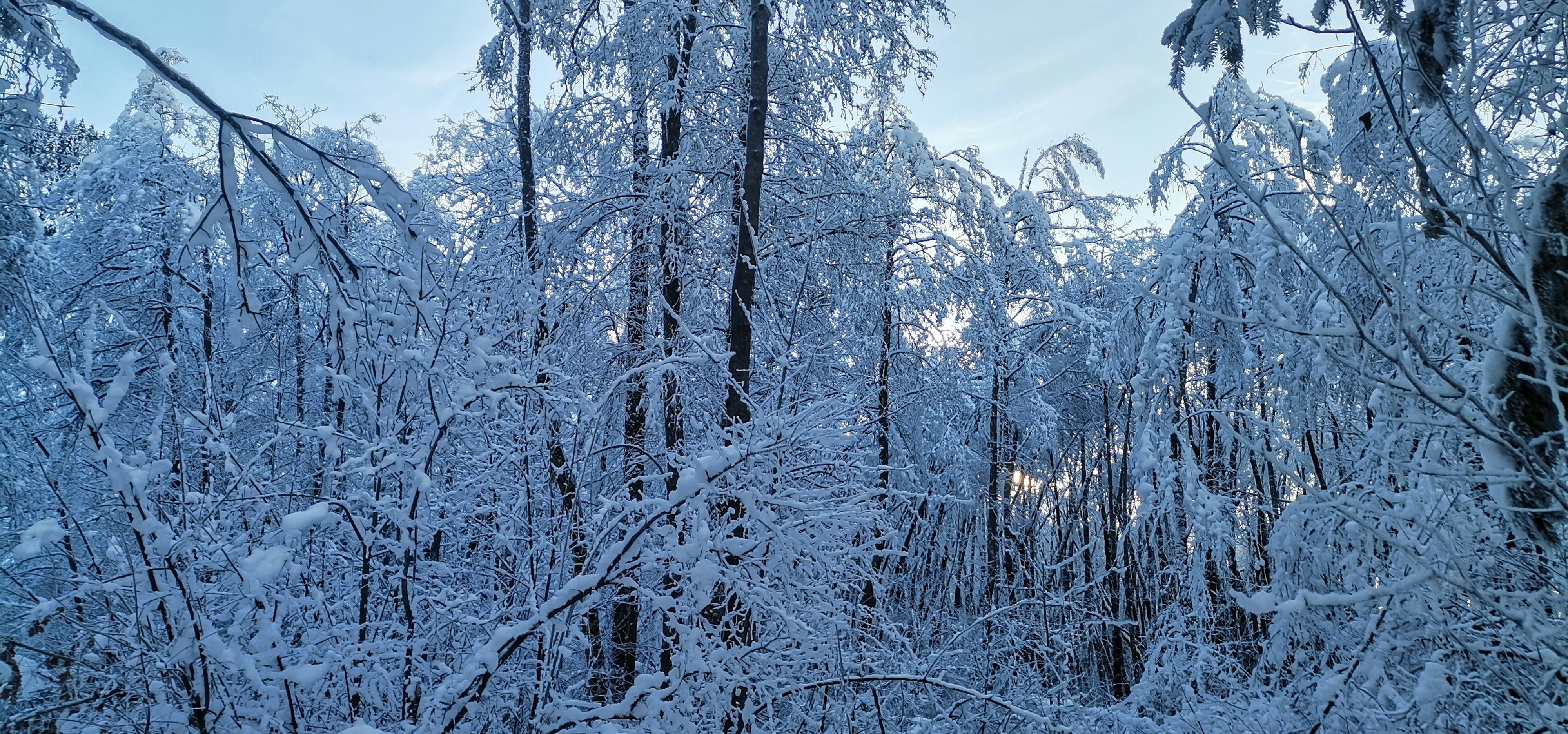 Photo by worldofmagic