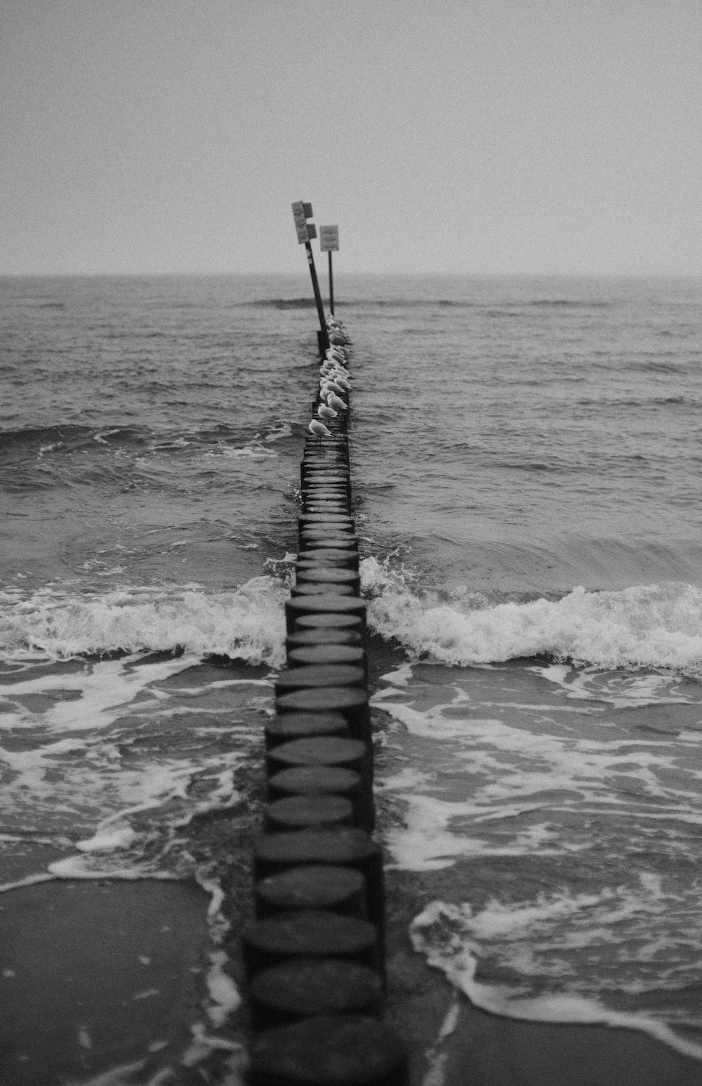 a black and white photo of a long pipe in the ocean