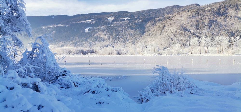 ein schneebedecktes Feld mit Bergen im Hintergrund