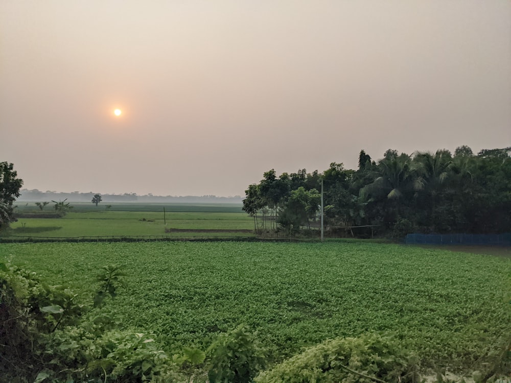 the sun is setting over a green field