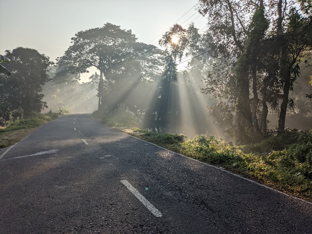 the sun shines through the trees on a foggy road