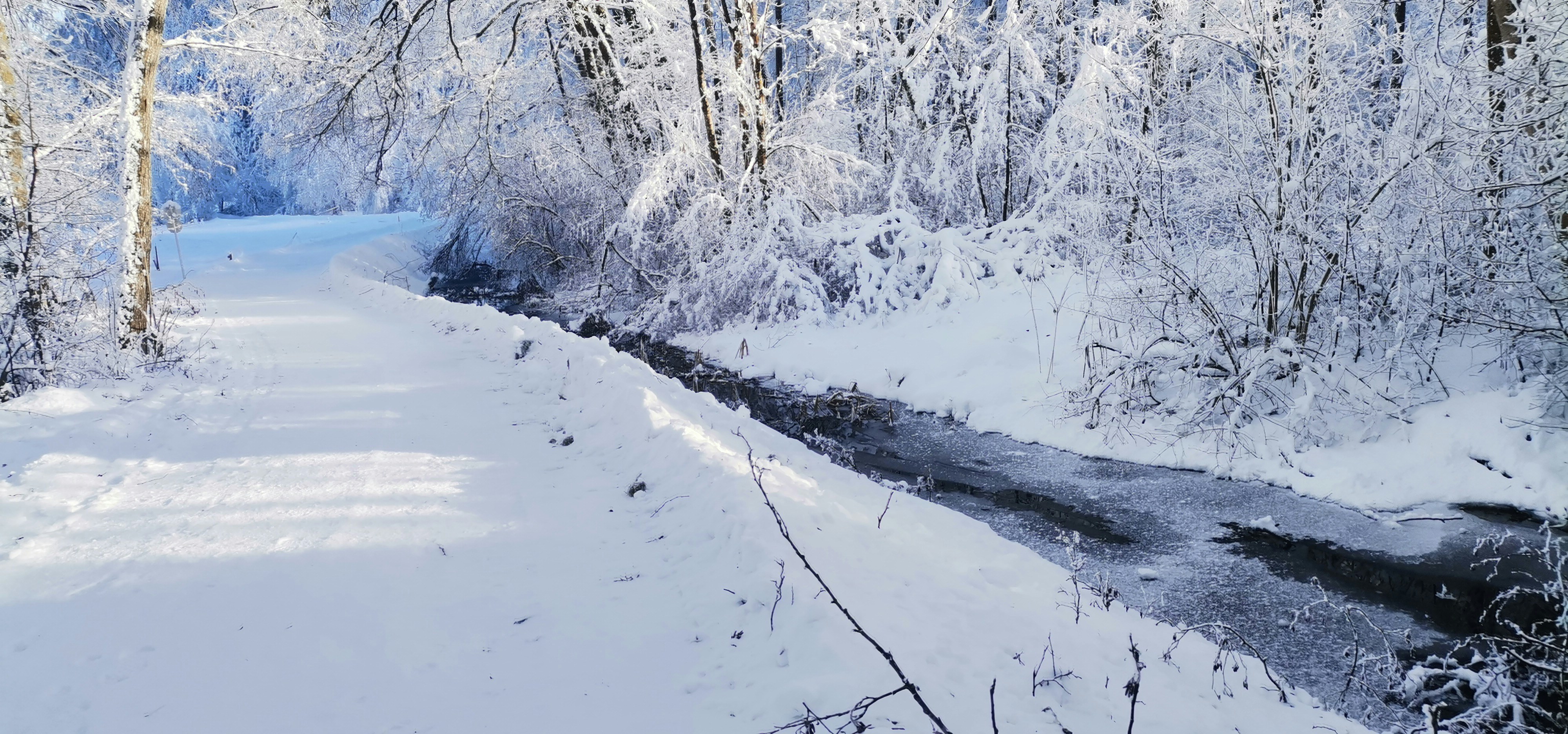 um rio que atravessa uma floresta coberta de neve