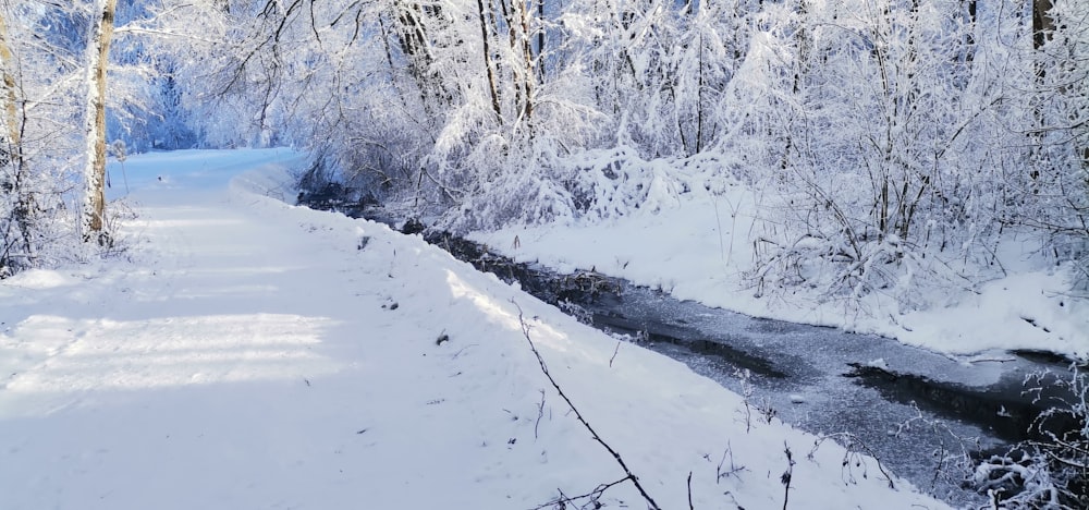 a river running through a snow covered forest