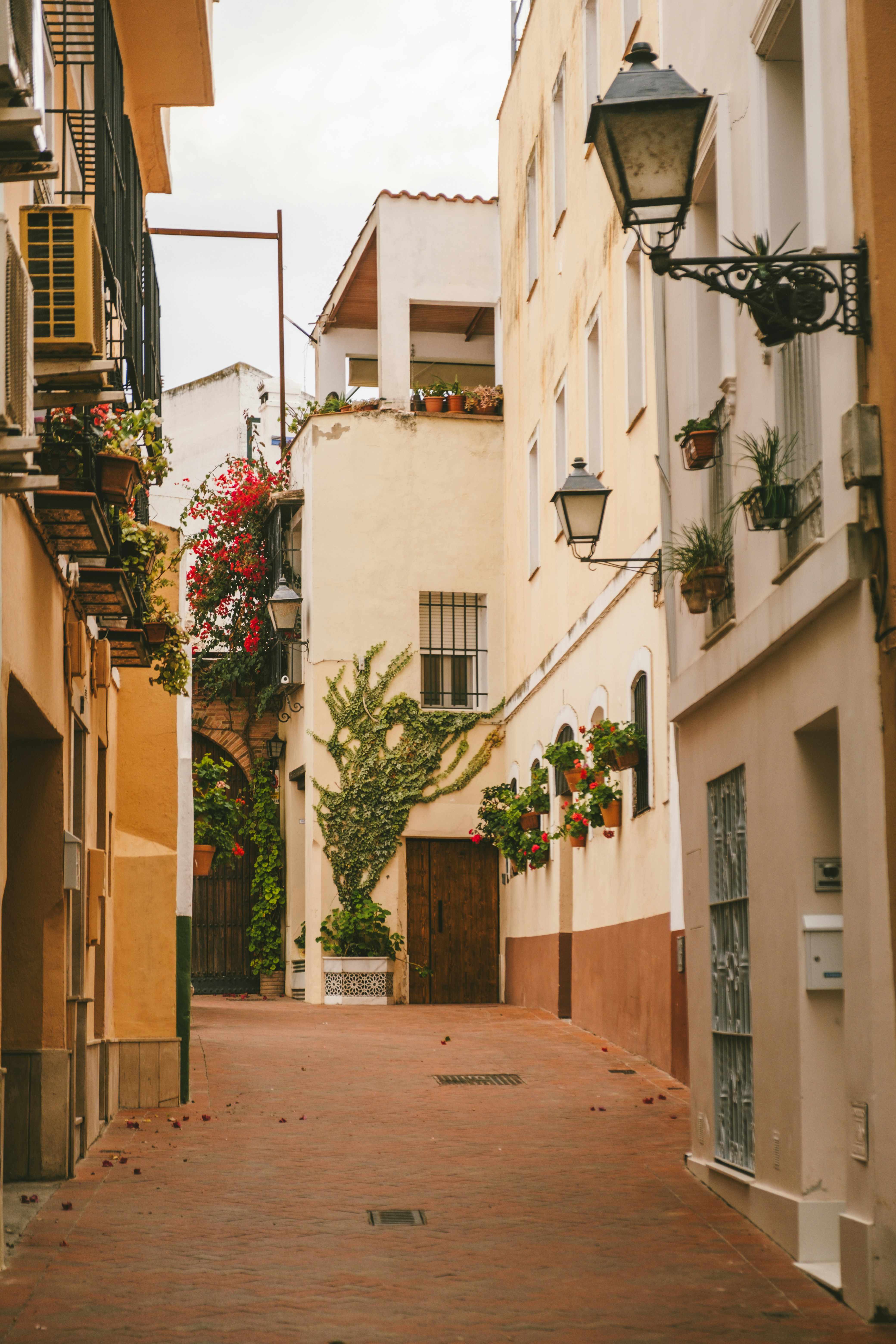 Photo by alexandra_salvado