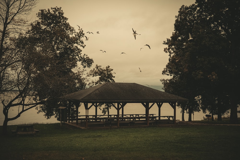 a gazebo in a park with birds flying around