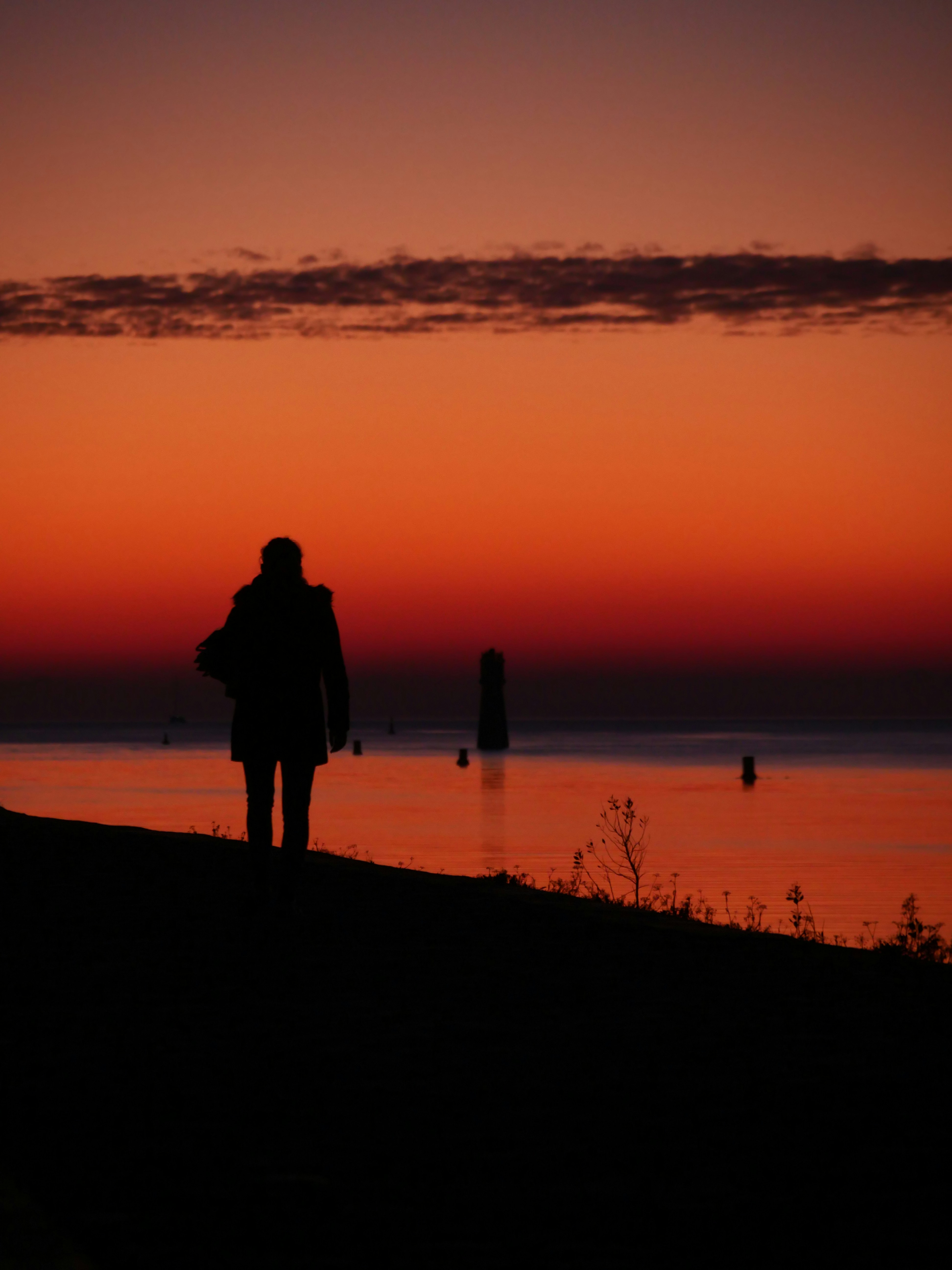 Photo by nimbus_vulpis