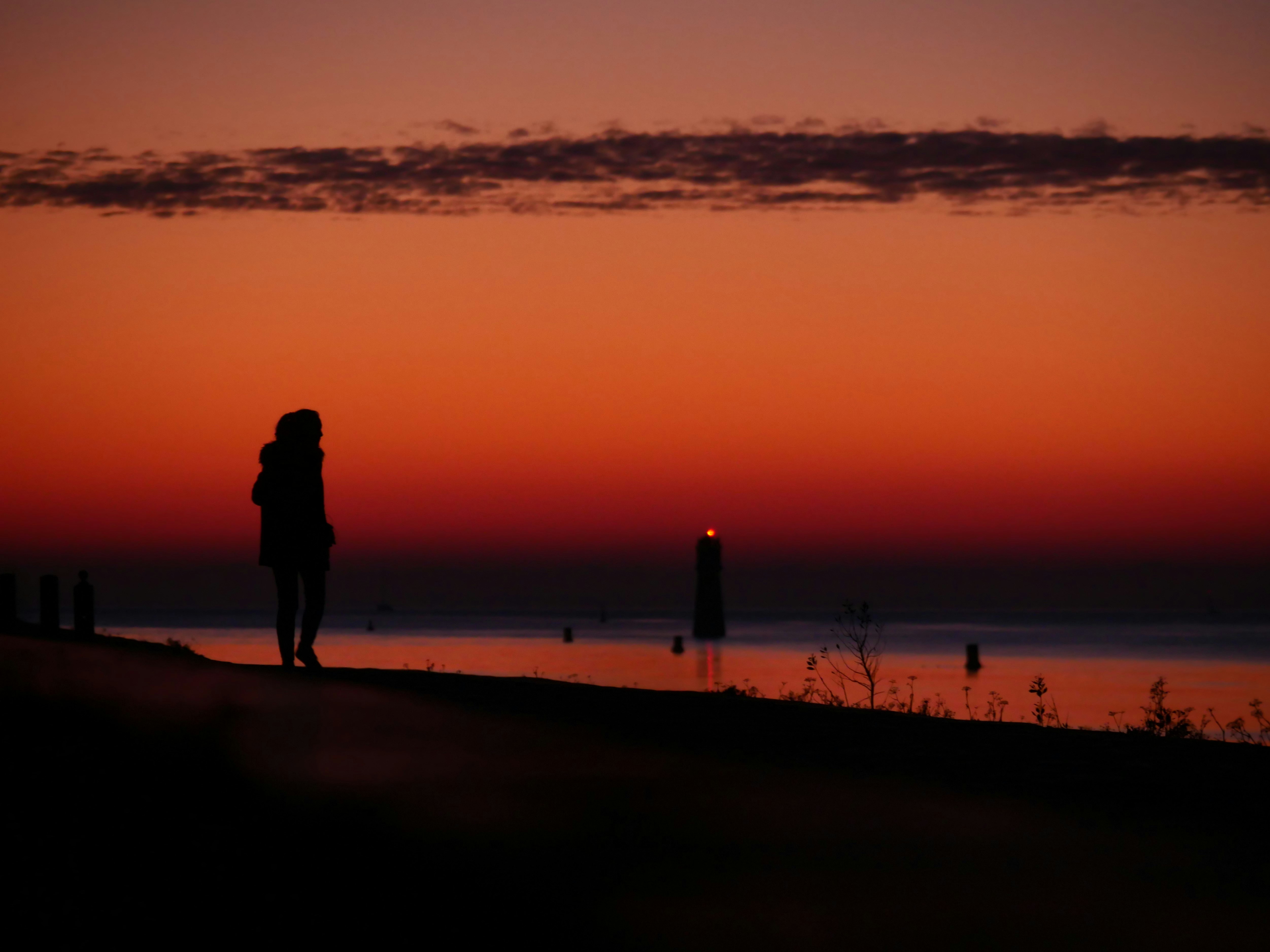 Photo by nimbus_vulpis