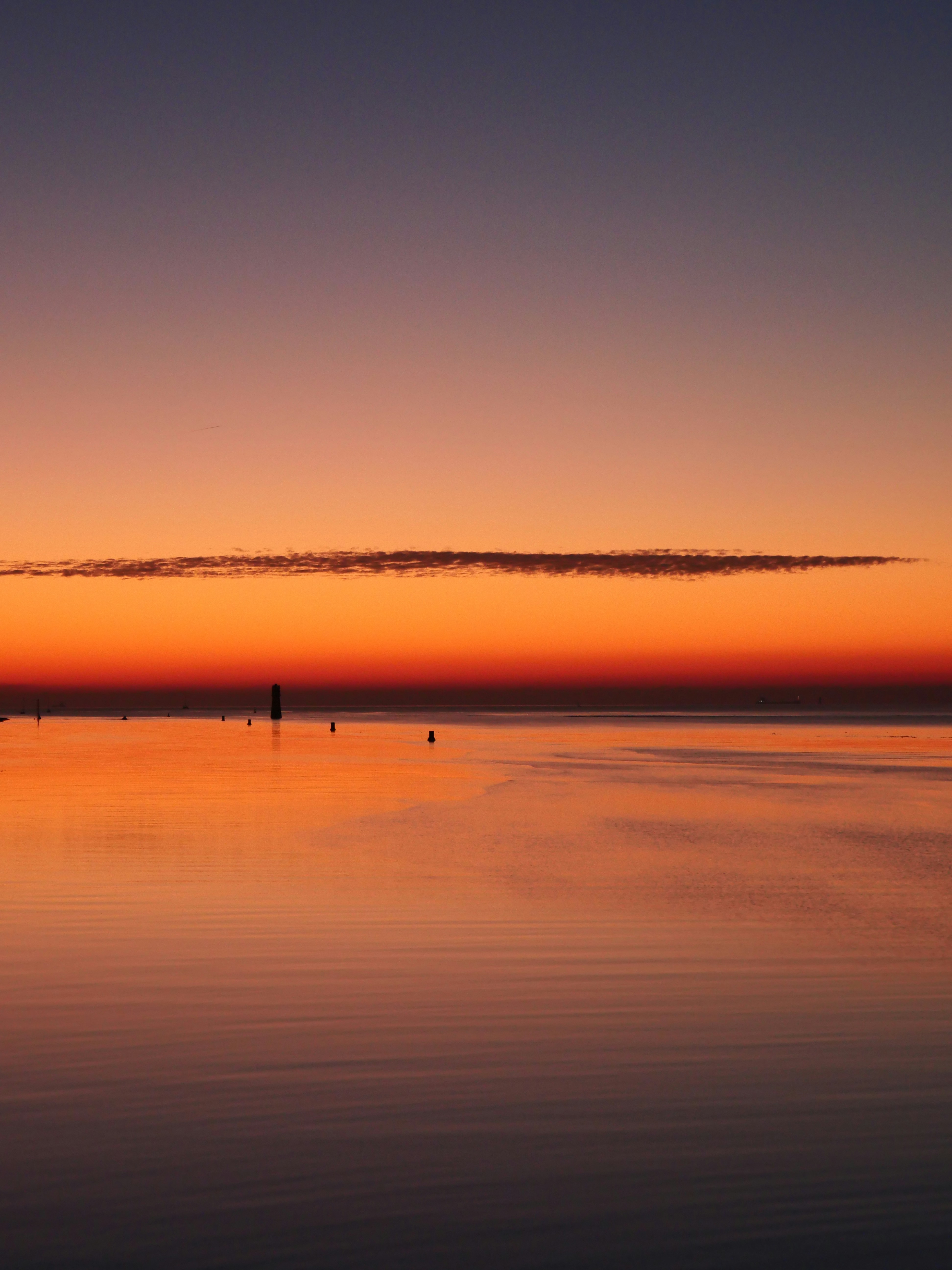 Photo by nimbus_vulpis