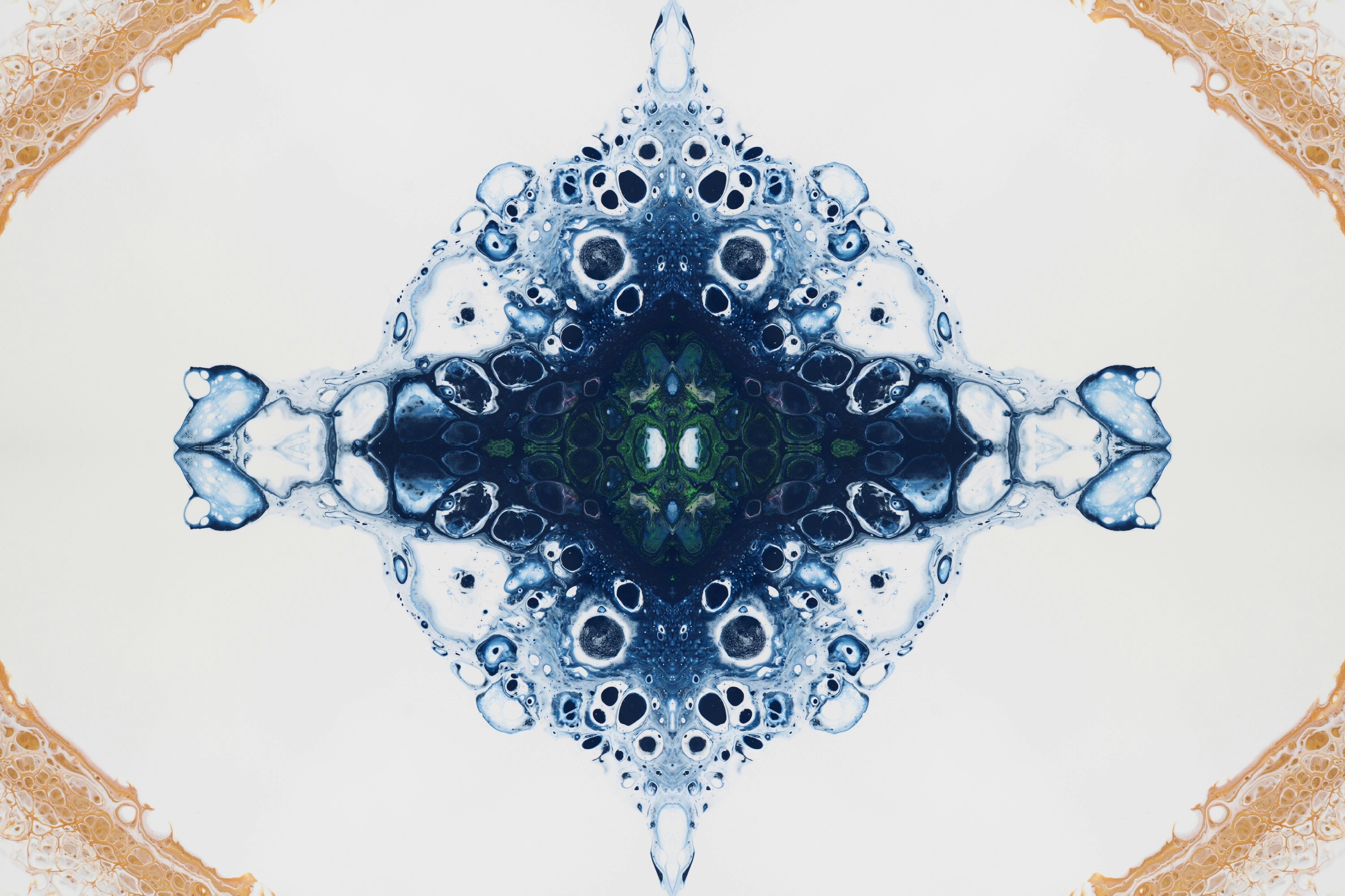 Photo by susan_wilkinson