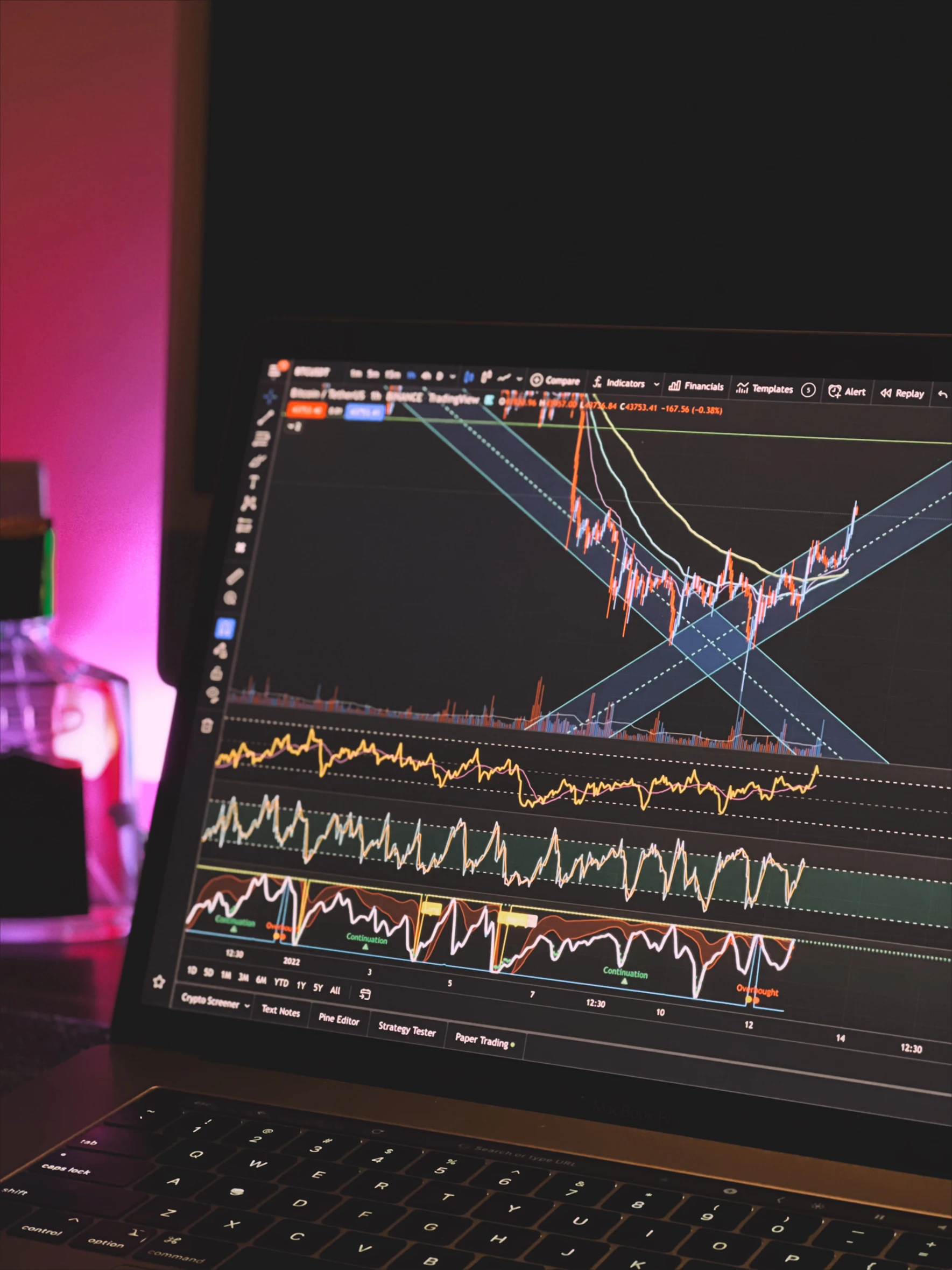 Laptop showing Bitcoin market charts
