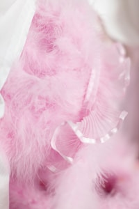 Pastel Chiffon
