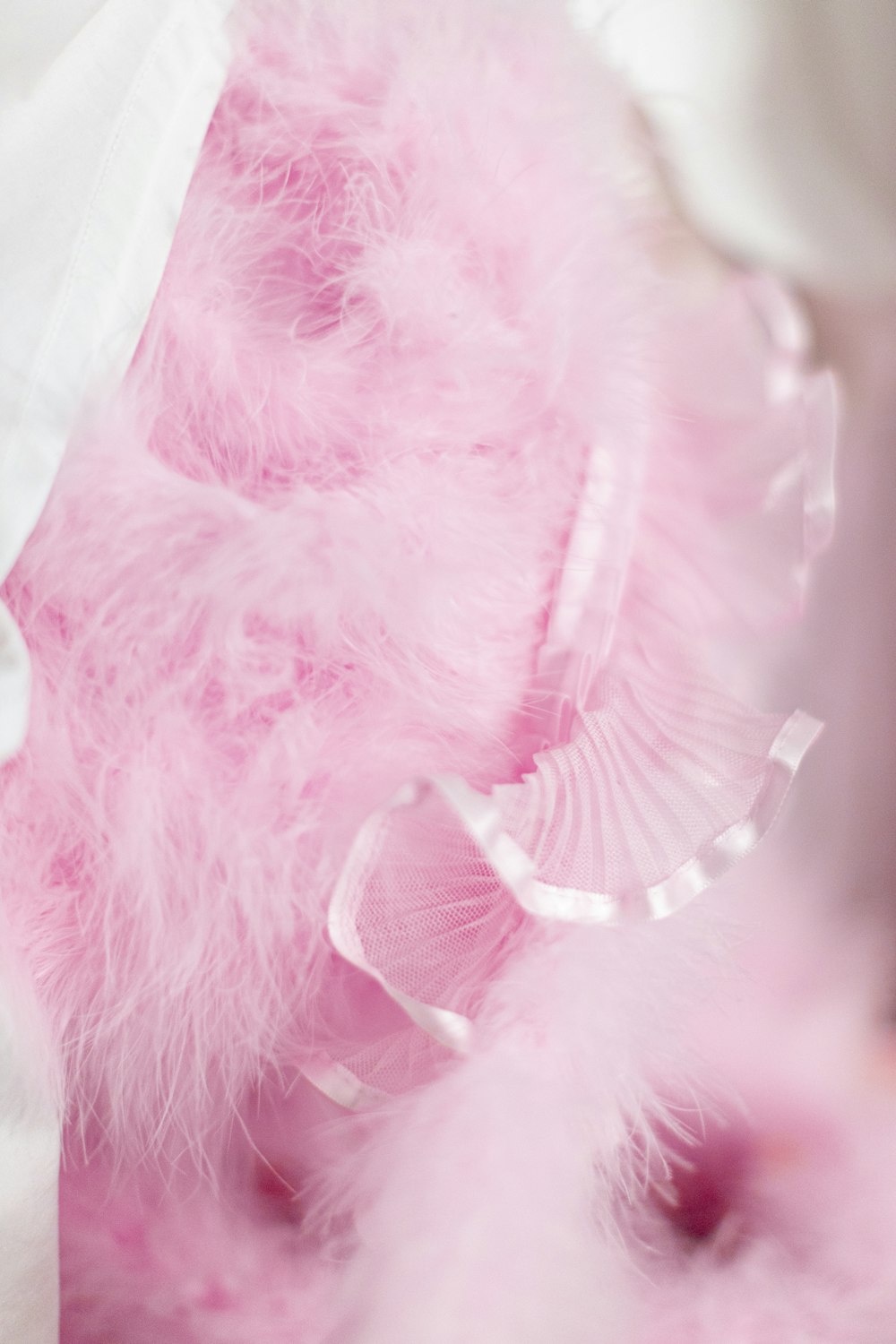 a close up of a pink feather on a white cloth