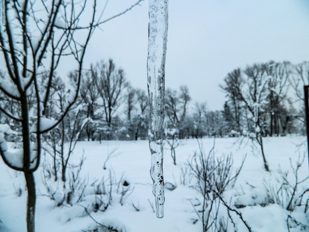 a snow covered field with trees in the background