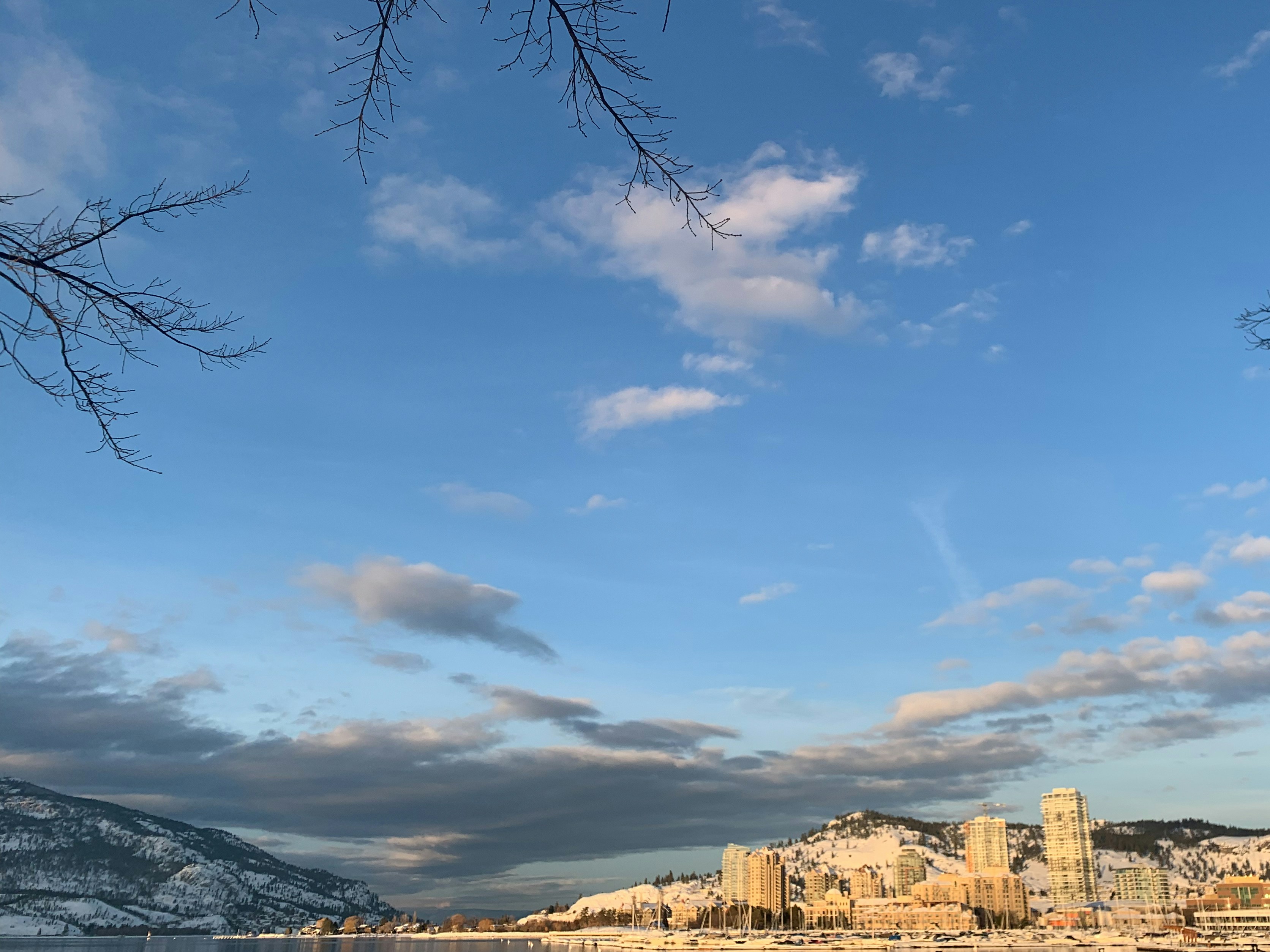 Containers in Lakehead, CA