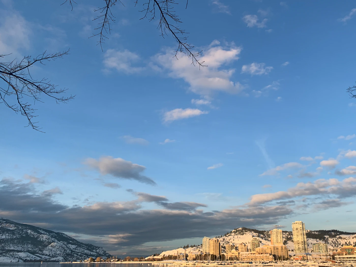 Kelowna city waterfront with forested mountain rising directly behind the buildings